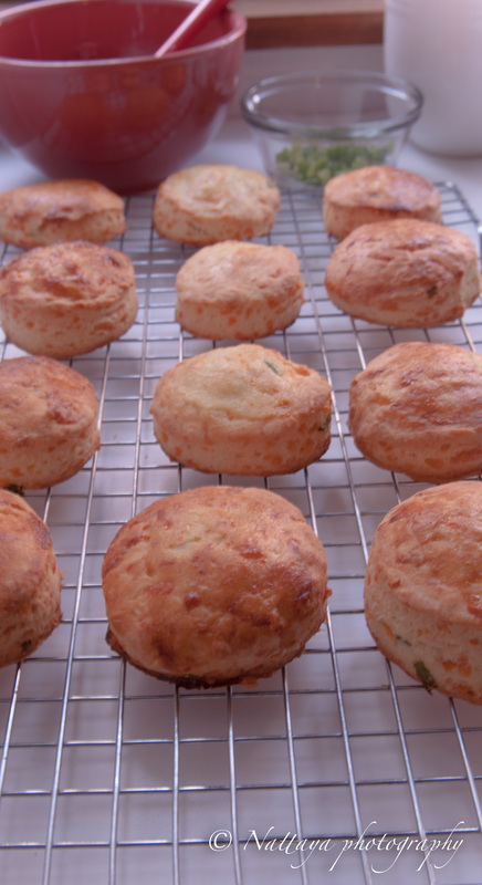 Cheddar cheese and scallion scones recipe