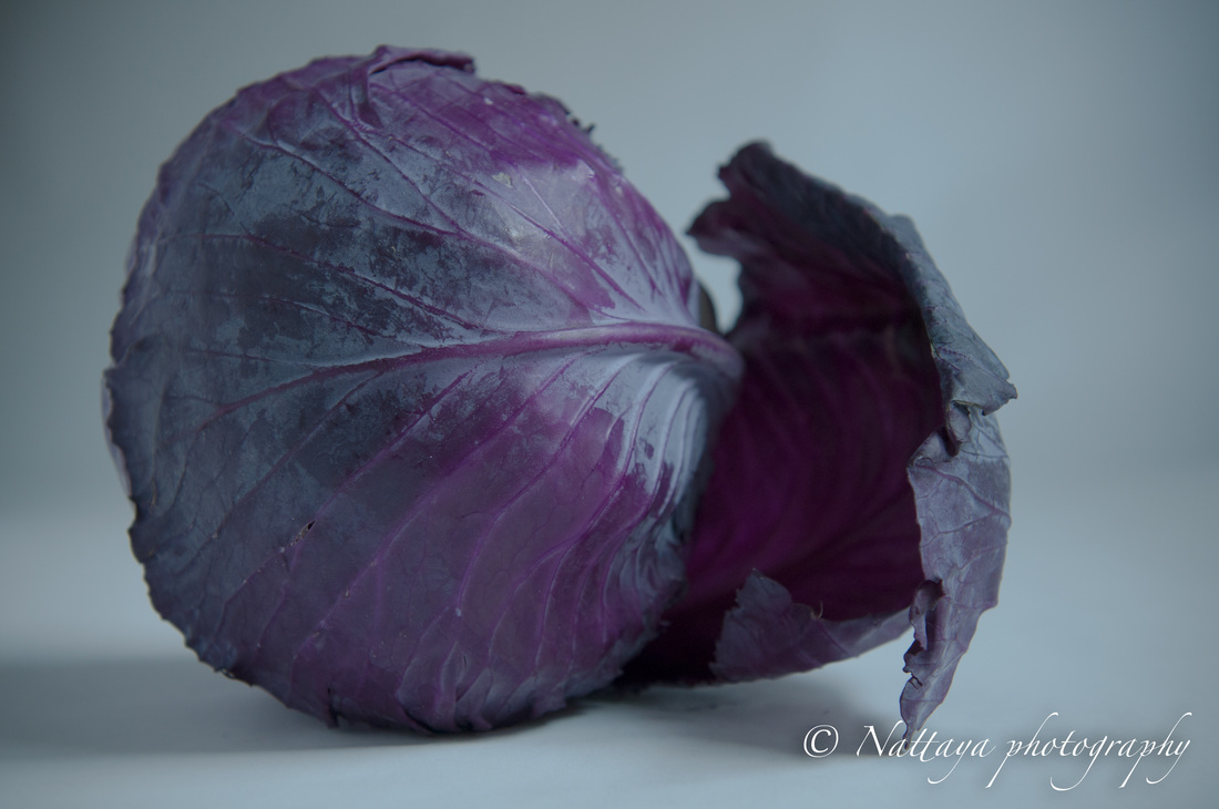 Homemade Cabbage slaw